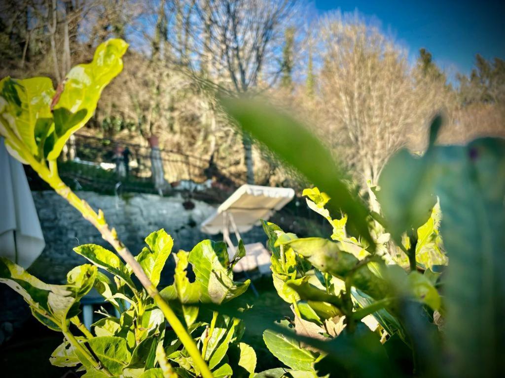 Hotel Il Castello Di Venere Rota d'Imagna Esterno foto